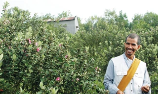 Nguyễn Đức Vân trên đồi sim rộng hơn 1ha của mình. Ảnh: Nguyên Anh