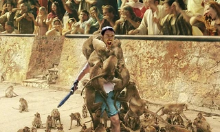 Choáng với cảnh người đàn ông bị hàng chục con khỉ tấn công