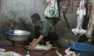 Chuyện khó tin ở làng giết chó lớn nhất Việt Nam