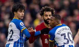 Nhận định Brighton vs Liverpool, 20h30 ngày 29/1: Thêm một lần đau 