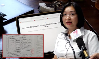 Được chọn đấu giá biển đẹp nhưng Cty đấu giá hợp danh Việt Nam tài sản chỉ vài tỷ, liên tục báo lỗ