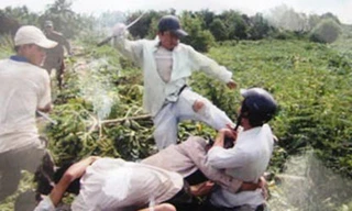 Men rượu loạn đả và nỗi đau xóm vạn đò