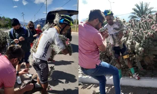 Người đàn ông 'Khóc dở, mếu dở' vì lao trúng bụi xương rồng