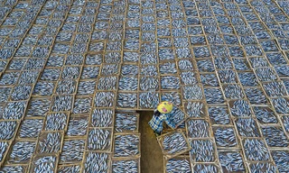 Ấn tượng với khoảnh khắc bình dị của Việt Nam trong ảnh đạt giải quốc tế