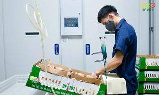 Masan MEATLife hoàn tất Giao Dịch góp vốn 613 tỷ đồng để sở hữu 51% Công ty 3F VIỆT