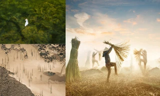 Chiêm ngưỡng 4 khoảnh khắc của Việt Nam lọt chung kết giải ảnh xuất sắc nhất năm