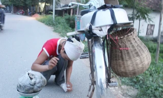 Phụ nữ làng Võ Lao, xã Văn Võ, Chương Mỹ cân ốc bán dọc đường	Ảnh: TV