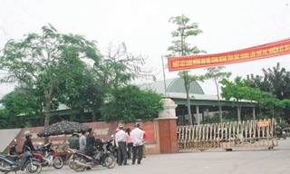 Sớm bảo hiểm xe, hỗ trợ việc làm