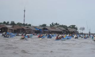 Bãi biển bị cày nát bởi hàng ngàn người cào nghêu nườm nượp đổ về Ảnh: Tiến Hưng