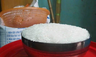 Gạo nghi giả xuất hiện ở Hà Nội