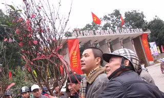 Quất 'khóc', đào 'cười' chiều cuối năm