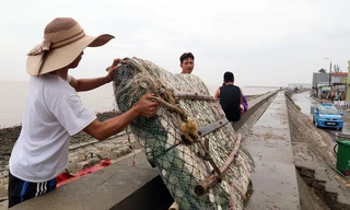 Người dân Hải Phòng đắp bao cát, gia cố nhà cửa trước cơn bão số 3