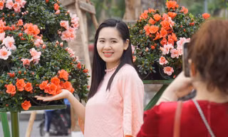 Người Hải Phòng check-in vườn hoa trung tâm cận Tết 