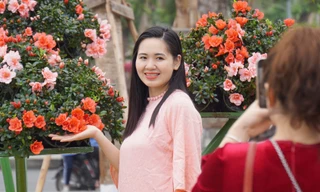 Người Hải Phòng check-in vườn hoa trung tâm cận Tết 