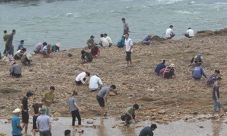 Sau tin đồn nhặt được đá quý, dân Phú Thọ đổ xô đãi cát thử vận may