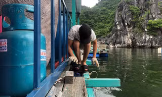 Hàng trăm ngư dân Cát Bà gia cố lồng bè nuôi cá chống bão Talim