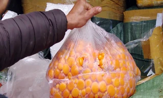 Hơn 1 tấn nội tạng không rõ nguồn gốc chuẩn bị vào nhà hàng ở Hà Nội