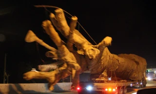 Thiếu tướng Nguyễn Hữu Dánh: 'Cây siêu khủng không phải của tôi'