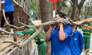 Tuổi trẻ Hải Phòng, Hải Dương khắc phục hậu quả cơn bão số 3 