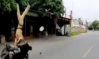 CSGT Hải Phòng bị hất tung khi dừng xe vi phạm.