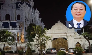 Vì sao đại gia xăng dầu Ngô Văn Phát bị bắt giam?