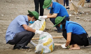 Hải Phòng làm gì để bảo vệ môi trường bền vững?