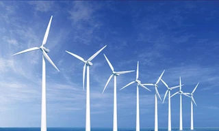 Ảnh minh họa: Internet