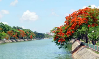 Tuyển chọn ca khúc viết về đất và người thành phố hoa phượng đỏ