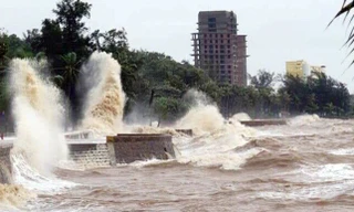 Hải Phòng khẩn trương triển khai các biện pháp phòng chống bão số 1