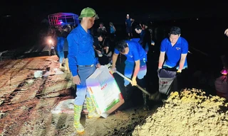 Tuổi trẻ Hải Dương xuyên đêm đắp đê chống lũ 