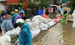 Hải Dương khắc phục 114 điểm sự cố về đê điều 