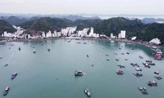 Hải Phòng đấu giá tài sản để làm khu du lịch cao cấp ở Cát Bà