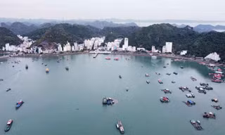Hải Phòng đấu giá tài sản để làm khu du lịch cao cấp ở Cát Bà