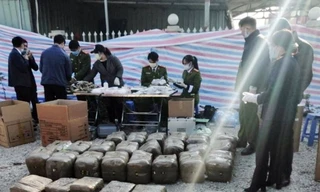 Thu giữ hơn 665kg nhựa cần sa giấu trong vỏ container ở Hải Phòng