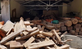 Kho gỗ trong sào huyệt ông trùm ma túy Nguyễn Thanh Tuân tại bản Tà Dê.