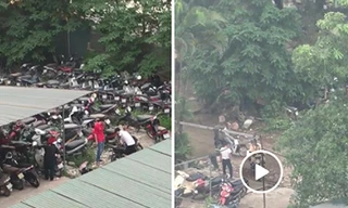 Hình ảnh cắt từ video