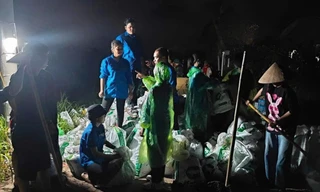 Tuổi trẻ Hải Phòng ngày đêm đắp đê ngăn lũ 