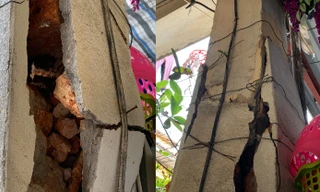 Người dân thấp thỏm sống trong khu tập thể xuống cấp nghiêm trọng ở Hải Phòng