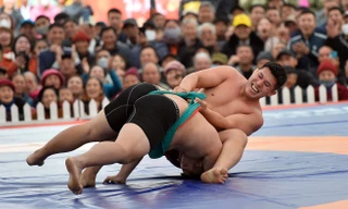 Về làng Cổ Trai xem đấu vật chỉ có ở Hải Phòng