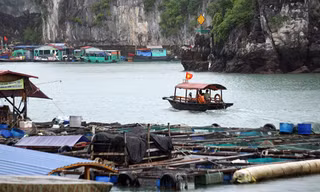 Bến tàu chở khách du lịch tại thị trấn Cát Bà. 