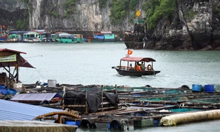 Bến tàu chở khách du lịch tại thị trấn Cát Bà. 