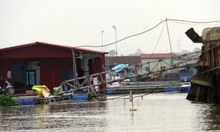 Hải Dương: Hàng nghìn lồng bè nuôi cá phủ kín khúc sông, tiềm ẩn nguy hiểm