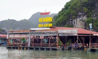 Vừa vào mùa du lịch, hàng loạt nhà hàng nổi ở Cát Bà ‘đột ngột’ phải di dời