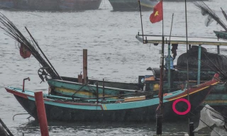 Đi câu mực, hai cha con bị sóng đánh mất tích trên biển