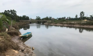 Hoảng hồn vì cá sấu bất ngờ xuất hiện dưới sông