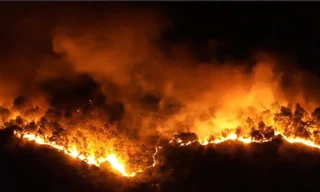 Video: Hình ảnh đáng sợ biển lửa nuốt trọn rừng thông 30 năm tuổi ở Hà Tĩnh