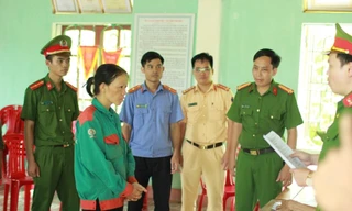 Đốt cỏ ruộng không may làm cháy rừng, nữ nông dân bị khởi tố