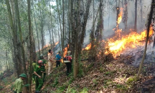 Đang cháy lớn tại núi Nầm Hà Tĩnh