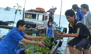 Ươm mầm xanh trên đảo nhỏ Cù Lao Xanh