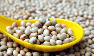 Đậu nành - 'Siêu thực phẩm' dành cho sức khỏe